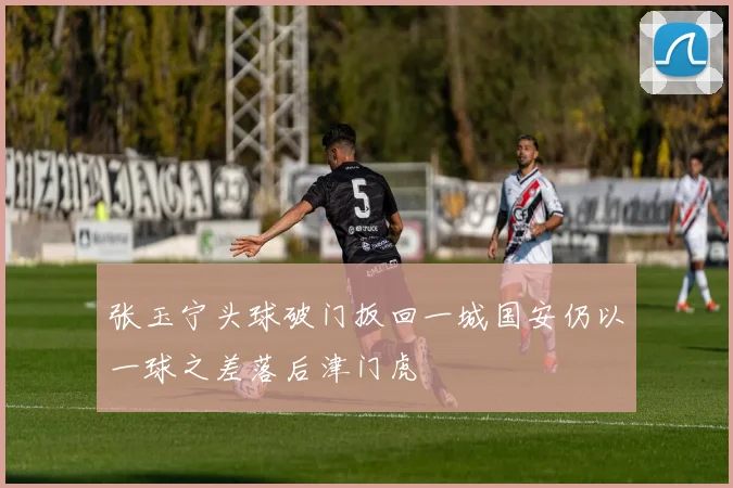 张玉宁头球破门扳回一城国安仍以一球之差落后津门虎